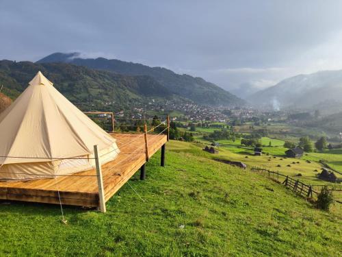 een tent op een groen veld bij Rucăr Glamping Village in Rucăr