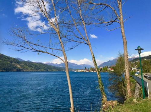 a view of a lake with mountains in the background at 3Traumhaftes Ferienhaus in bester Lage in Döbriach
