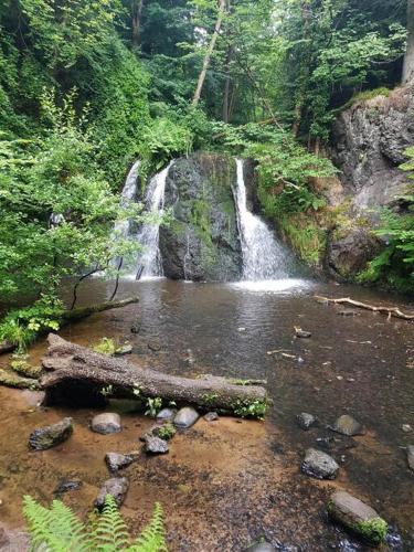a waterfall in a forest with a log in the water at Applegrove, perfect 2 bed bungalow, Fortrose in Fortrose