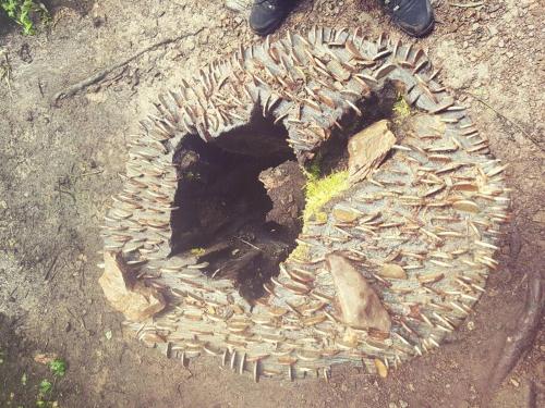 a hole in the ground with a pile of rocks at Applegrove, perfect 2 bed bungalow, Fortrose in Fortrose