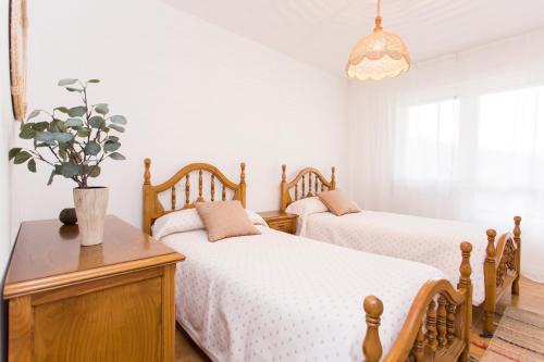 een slaapkamer met 2 bedden en een potplant bij Apartamento Río Maior in Muros