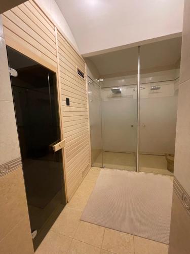 a bathroom with a shower and a glass door at Apartma Premium in Karlovy Vary