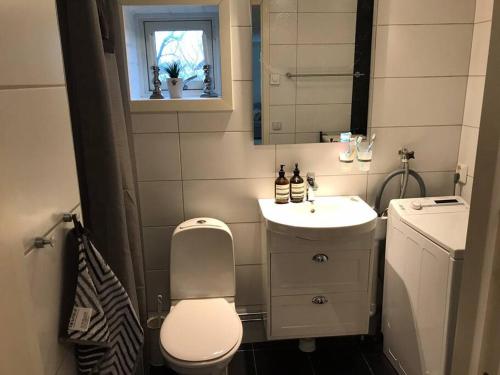 a small bathroom with a toilet and a sink at Modern house, views over the fields 5 min to beach in Halmstad