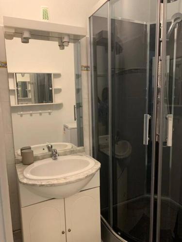 une salle de bain avec un lavabo et une douche en verre dans l'établissement Appartement meublé proche du centre - Wifi/Parking, à Clermont-Ferrand