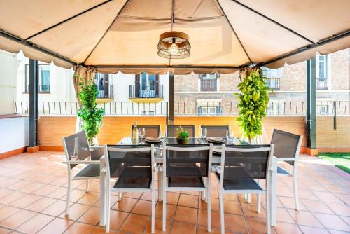 GRAN TERRAZA CON VISTAS A CALLE LARIOS