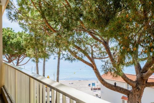 2-Room Apartment with Terrace Sea View