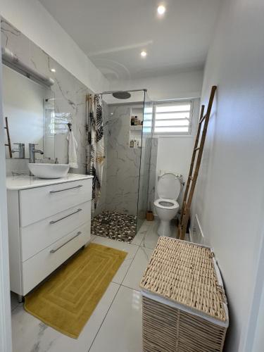 a bathroom with a shower and a toilet and a sink at Villa C in Vieux-Habitants