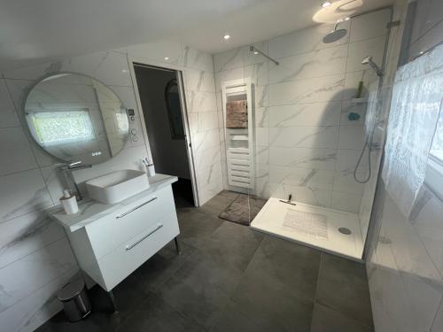 bagno bianco con lavandino e specchio di Maisonnette avec terrasse a Strasburgo