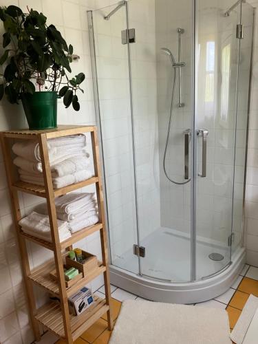 W łazience znajduje się prysznic ze szklanymi drzwiami. w obiekcie Haus Renate 