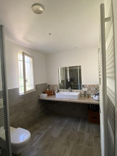 une salle de bain avec un lavabo, des toilettes et un miroir dans l'établissement Villa Comorebi Provence, à Entrecasteaux