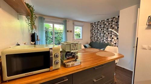 een keuken met een aanrecht met een magnetron bij Appartement T2 Rez de jardin - Disneyland Paris 6 min in Bussy-Saint-Georges