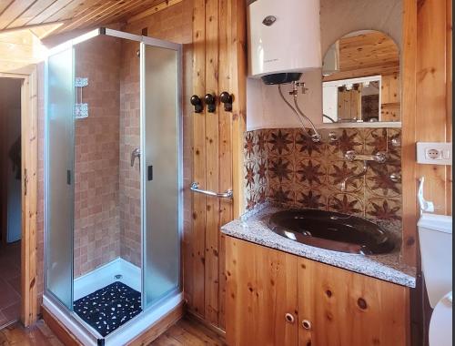 uma casa de banho com um chuveiro e um lavatório. em Charming traditional mountain house em Taceno