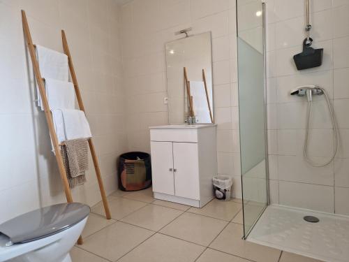 ein Bad mit einem WC und einer Glasdusche in der Unterkunft Studio cosy proche toutes commodités avec parking gratuit in Mezzavia