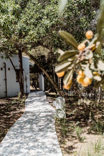 a path leading to a building with trees and oranges at Can Vistabella Boutique Resort in San Antonio