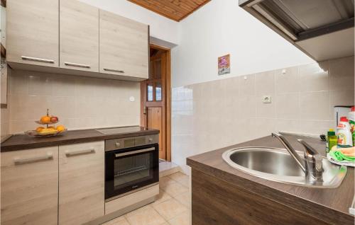 eine Küche mit einer Spüle und einer Arbeitsplatte in der Unterkunft Gorgeous Apartment In Lovran With Kitchen in Lovran