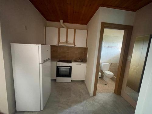 a kitchen with a white refrigerator and a toilet at Kouzelis apartments in Kanatádhika