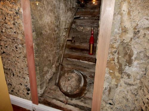 a bathroom with a toilet in a stone wall at Huge Luxury 8 Bed Manor House Hot Tub Pool Table in Saffron Walden