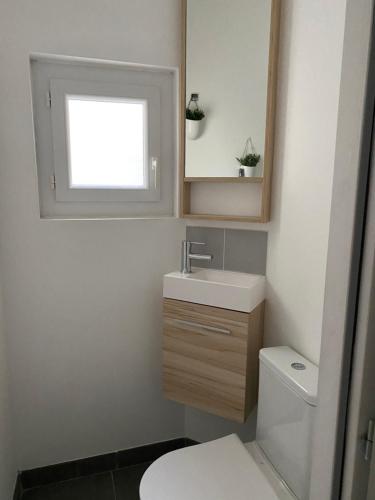 a bathroom with a toilet and a sink and a mirror at Appartement cœur de Nimes avec cour in Nîmes