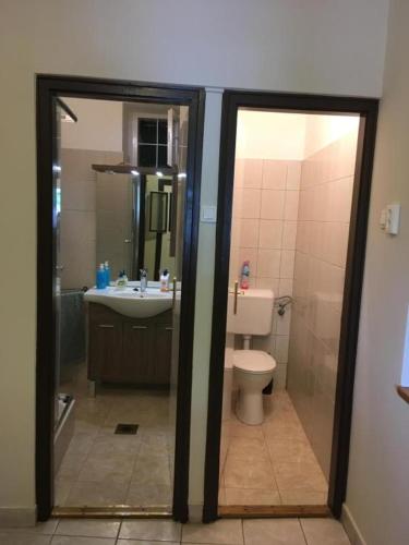 a bathroom with a toilet and a sink at Vadászház in Rádócújfalu