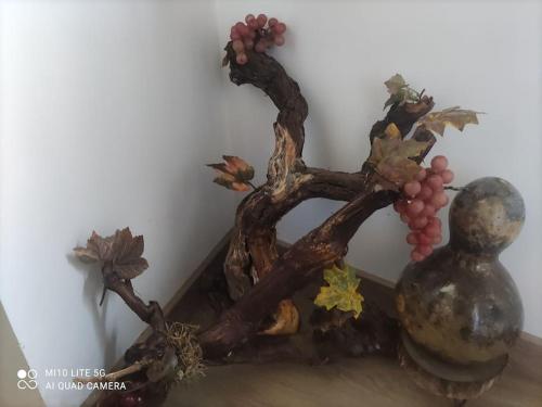 una rama de un árbol con uvas y un jarrón en Casa do Trovão - Douro, en Peso da Régua