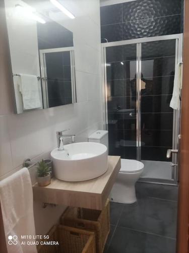 a bathroom with a sink and a toilet and a shower at Casa do Trovão - Douro in Peso da Régua