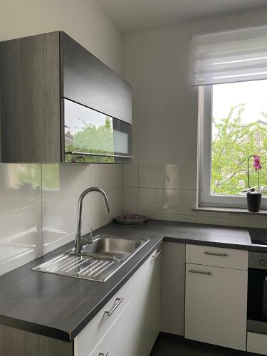 a kitchen with a sink and a window at Apartma Azurre in Postojna