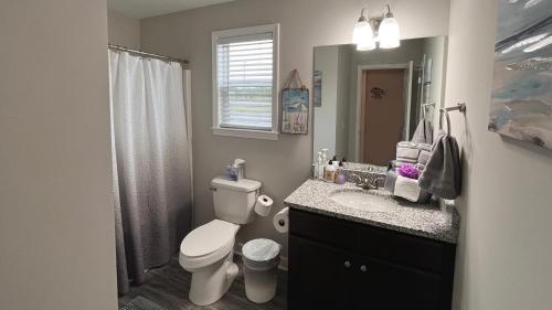 ein Badezimmer mit einem WC, einem Waschbecken und einem Spiegel in der Unterkunft Pet-Friendly, GREAT Guest Suite with Private Entry & Deck! ONLY 25 Mins from Downtown Nashville! in Ashland City