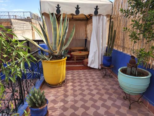 a patio with potted plants on a balcony at RIAD GALIYA in Marrakech