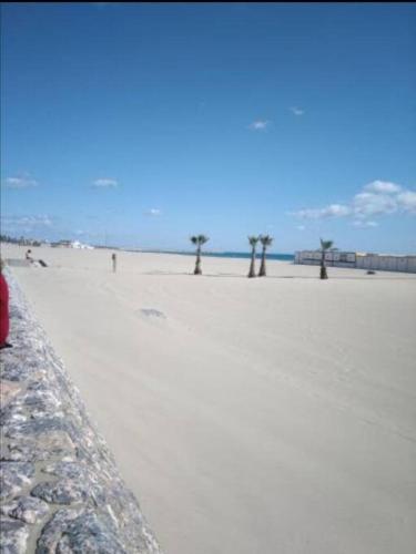 une plage de sable avec des palmiers au loin dans l'établissement Superbe appartement à 40 mètres de la plage, à Canet