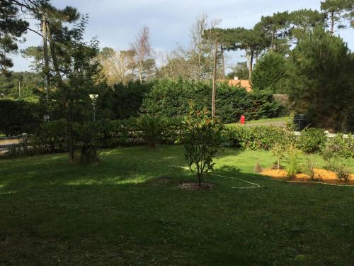 a yard with a garden with trees and bushes at Maison avec Piscine Labenne Ocean in Labenne