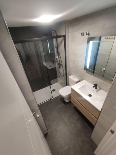 een badkamer met een wastafel, een douche en een toilet bij El Ático de la Estación in Oviedo