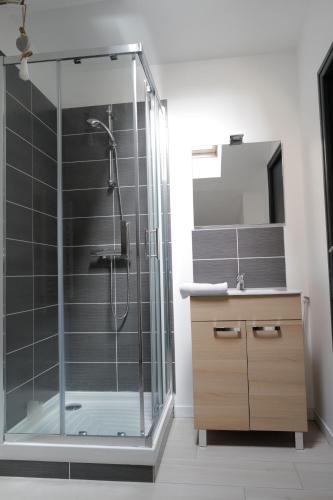 une salle de bain avec une douche en verre et un lavabo dans l'établissement Balcon sur Loire, à Blois