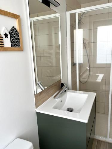 une salle de bain avec un lavabo blanc et une douche dans l'établissement Gîte proche Colmar vignoble, à Wettolsheim