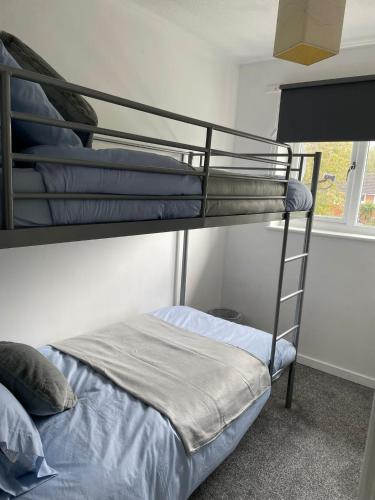 1 dormitorio con 2 literas y escalera en Homely property close to Princess Royal hospital and Apley Wood en Wellington