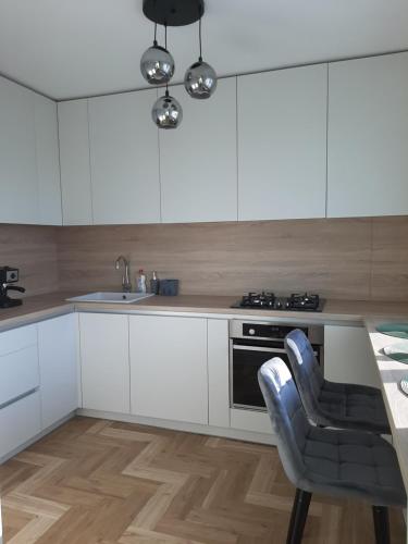 Η κουζίνα ή μικρή κουζίνα στο Visinskio apartamentai