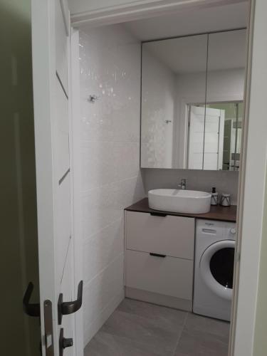 a bathroom with a sink and a washing machine at Visinskio apartamentai in Šiauliai