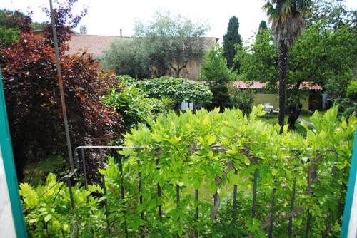un jardin avec des plantes et des arbres verts et un bâtiment dans l'établissement Lo studio di Gabriella, à Bolsena