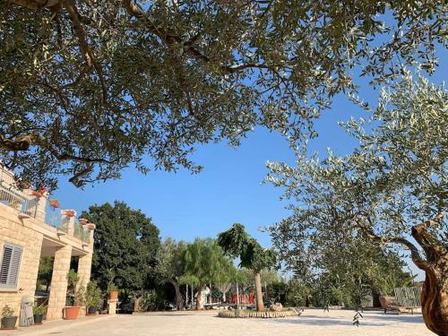 a tree in front of a building with a blue sky at oasi di pace fasano BIS in Fasano