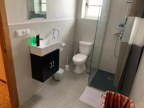 a bathroom with a toilet and a sink and a shower at Migueliño - Casa Tía María in Villanueva de Arosa