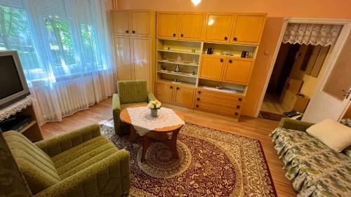 - un salon avec un canapé et une table dans l'établissement Vica Apartman, à Tiszaújváros