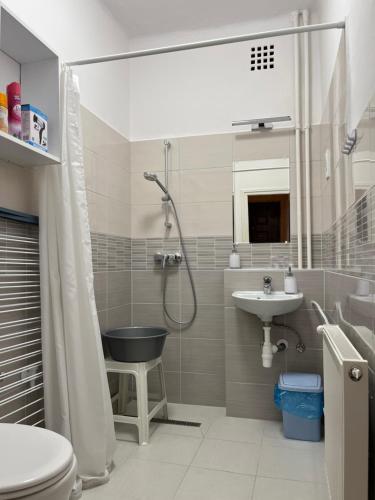 ティサウーイバーロシュにあるVica Apartmanのシャワー、洗面台、トイレ付きのバスルーム