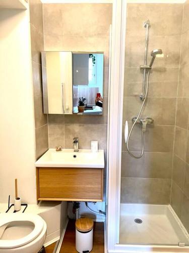 a bathroom with a shower and a sink and a toilet at Appartement calme et cosy in Pau
