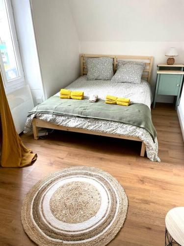 a bedroom with a bed and a rug on a wooden floor at Appartement calme et cosy in Pau