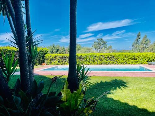 a swimming pool in a yard with palm trees at Chalé Davim com piscina -Tranquilidade e conforto in Louriçal