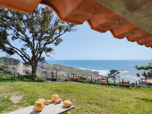un gruppo di zucche seduti su un tavolo vicino all'oceano di Apartamento Loft A Estivada Bajo a Rosal