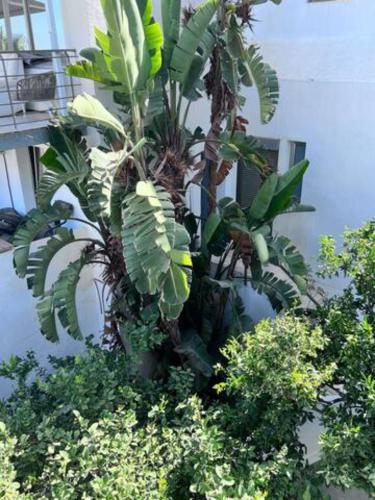 Appartement C dans une villa avec piscine & jacuzzi photo 40