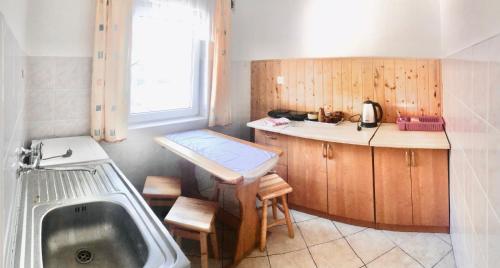 a kitchen with a sink and a counter with a sink at Gościniec nad Zalewem in Kąty Rybackie