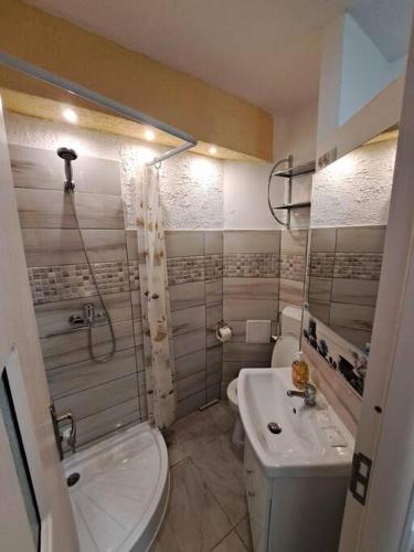 a bathroom with a toilet and a sink at Dovali apartment in Râmnicu Vâlcea