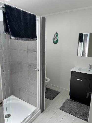 a bathroom with a shower and a sink and a toilet at A Cut Above Lodge - The Gateway to the Bay of Islands in Kerikeri