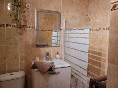 bagno con servizi igienici, lavandino e specchio di Hôtel Du Patriarche ad Agde